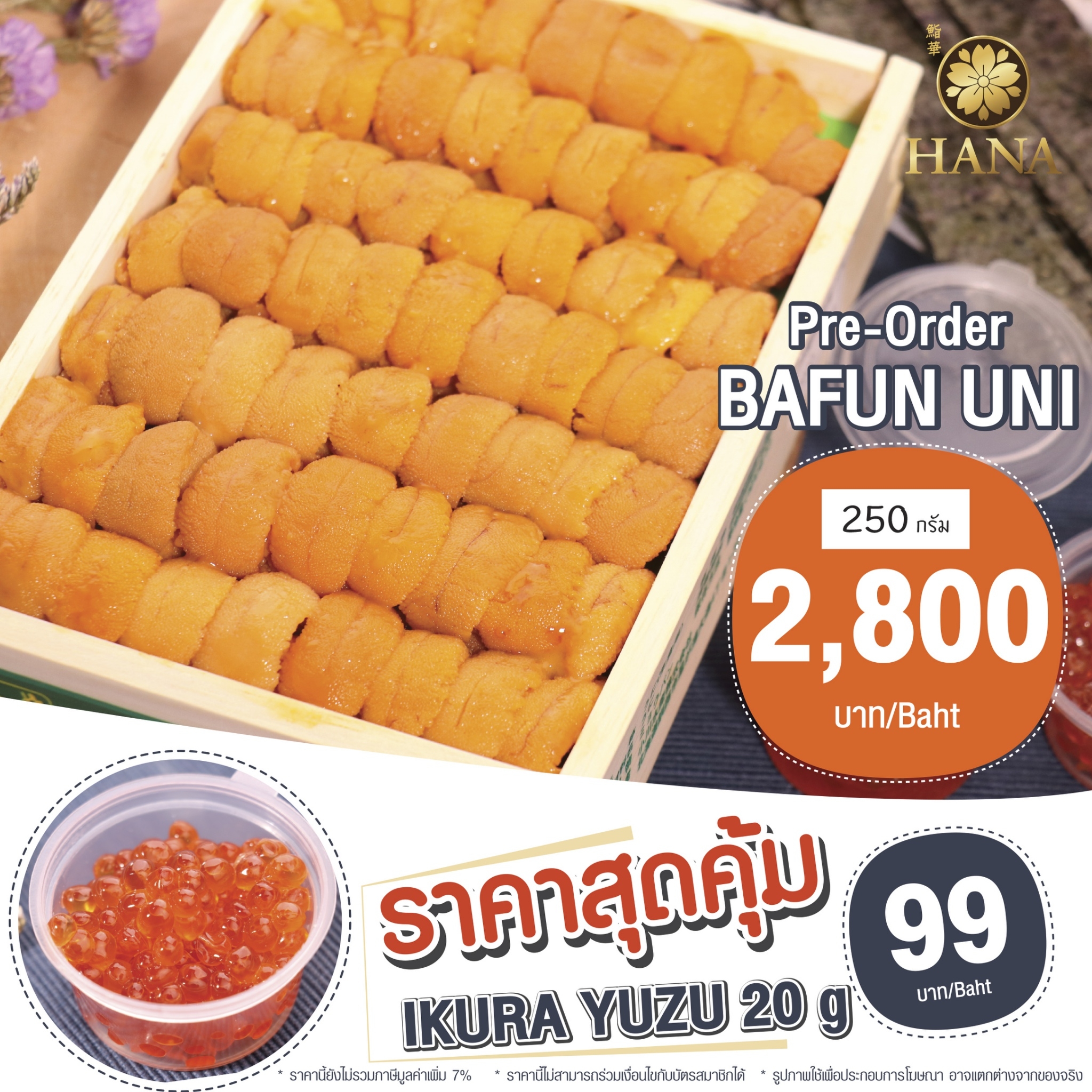 Pre Order - Bafun Uni 250g ซูชิ ฮานะ SUSHI-HANA